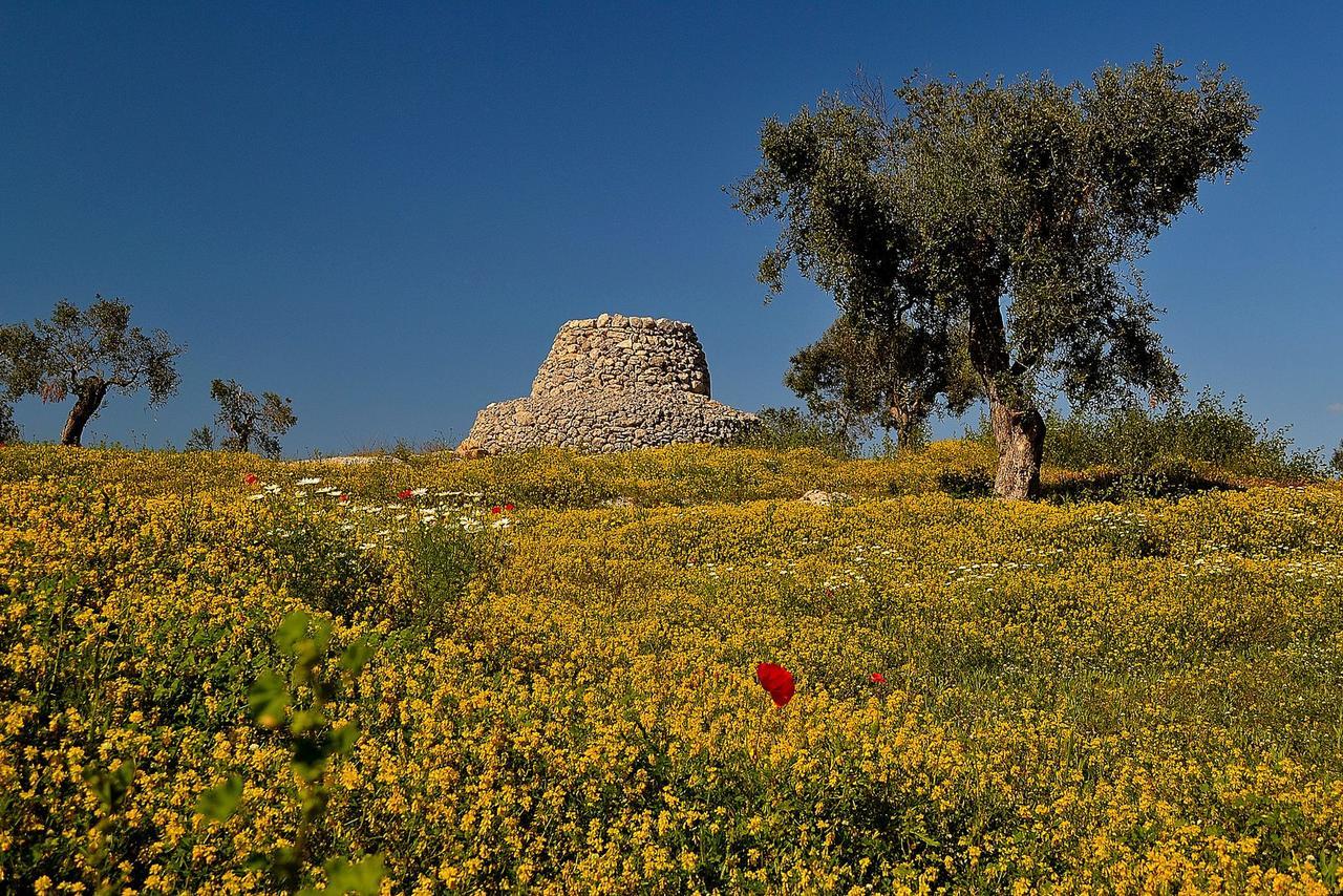 Meraviglie Del Salento Porto Cesareo Dış mekan fotoğraf